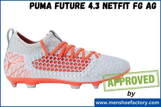 Puma Future 4.3 Netfit FG AG