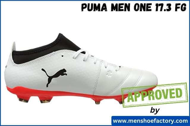 Puma Men ONE 17.3 FG