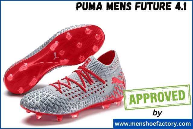 Puma Men’s Future 4.1 Netfit Fg Ag Glacial Football Shoes