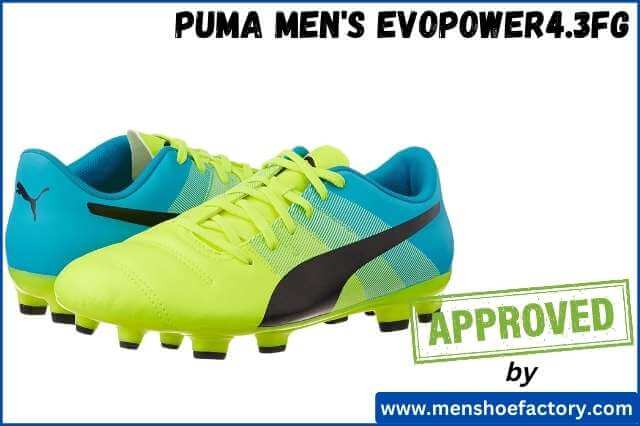 Puma Men's evoPOWER4.3FG